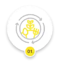 Choose Your Catering Style